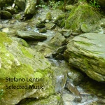 stefano lentini - selected music
